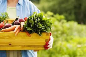 Organic