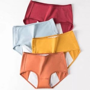 Leak proof period panty (RAj Int)