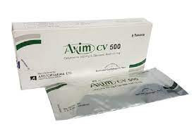 Axim CV 500